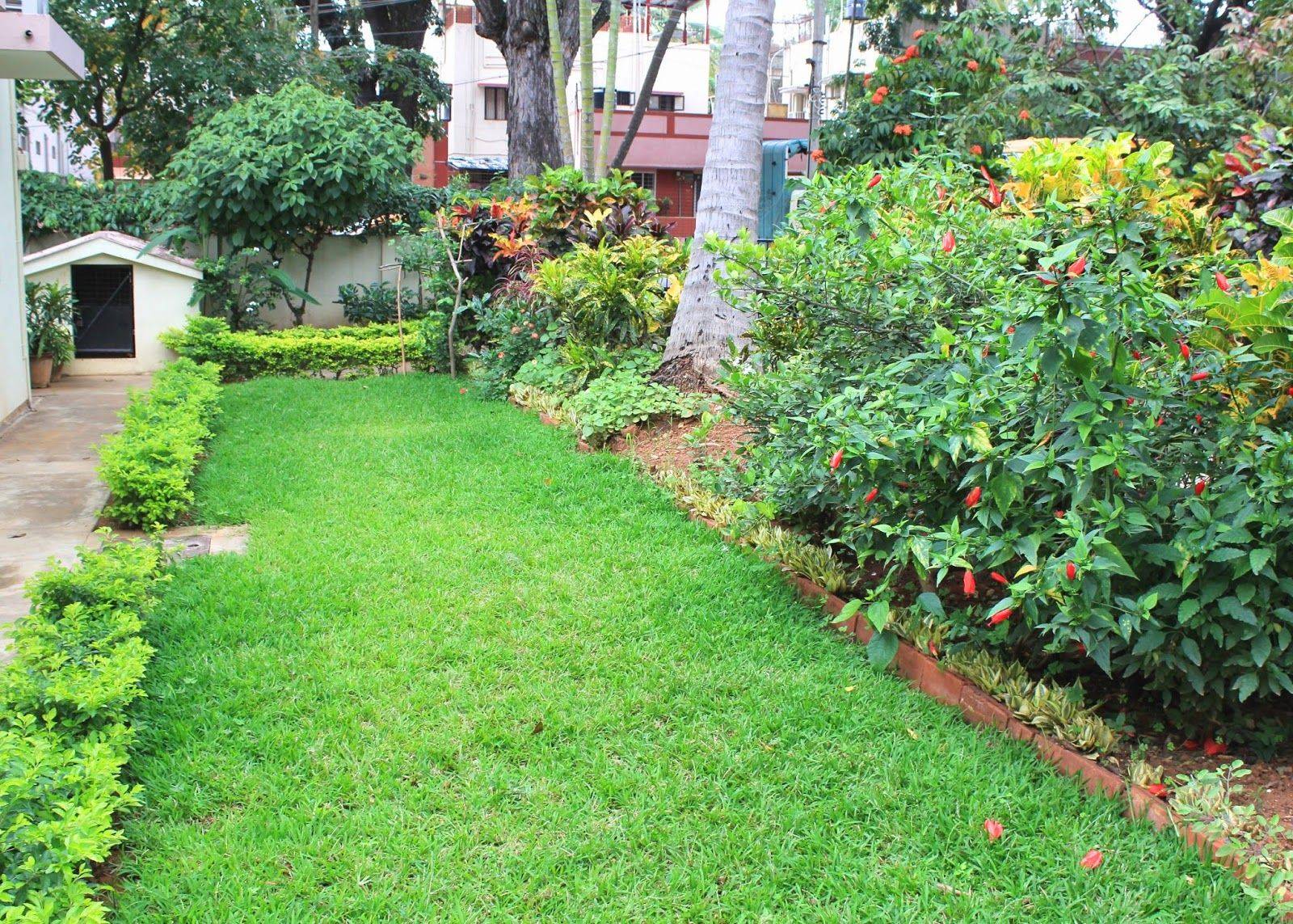 Front Yard Indian Home Garden Images Fedinmo