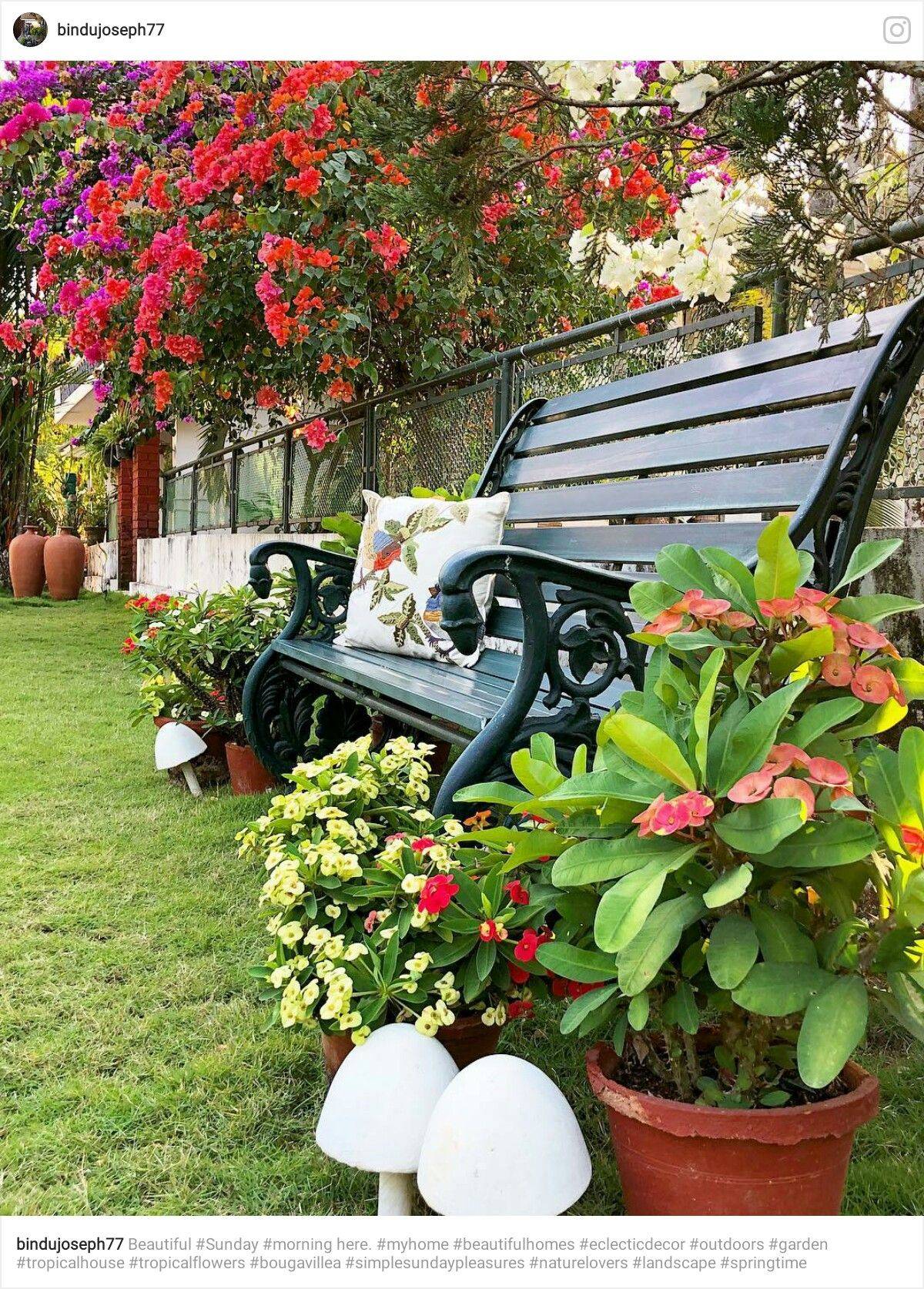 Indian Home Gardening Ideas Images Home Collections