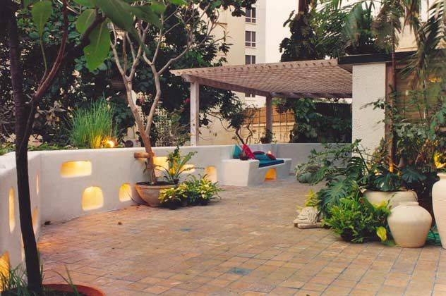 My Roof Top Terrace Garden