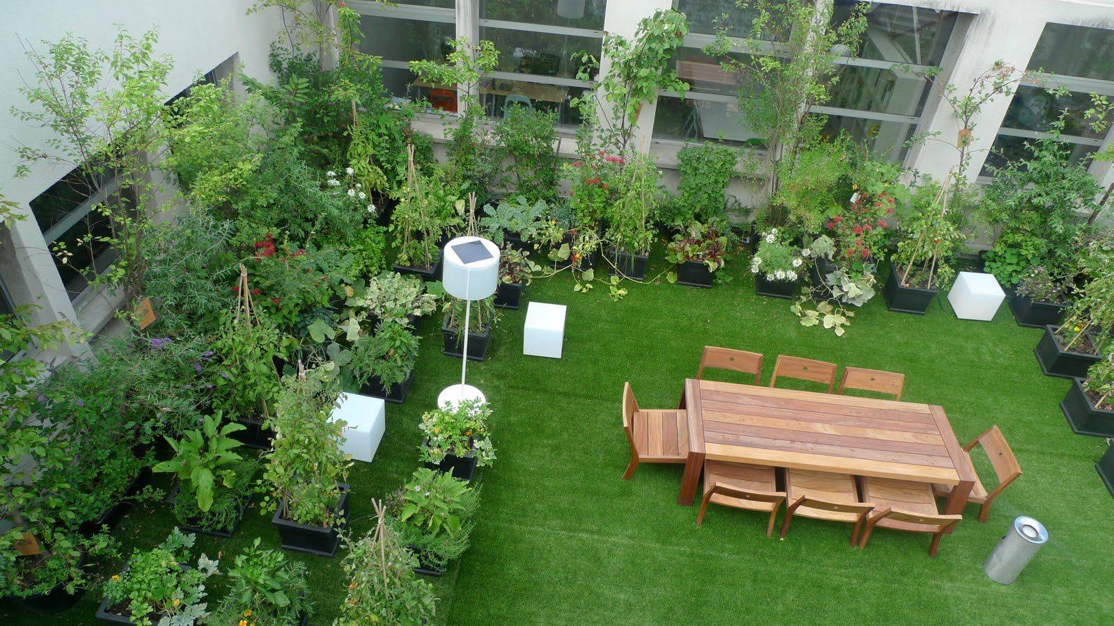 Home Decor Terrace Garden