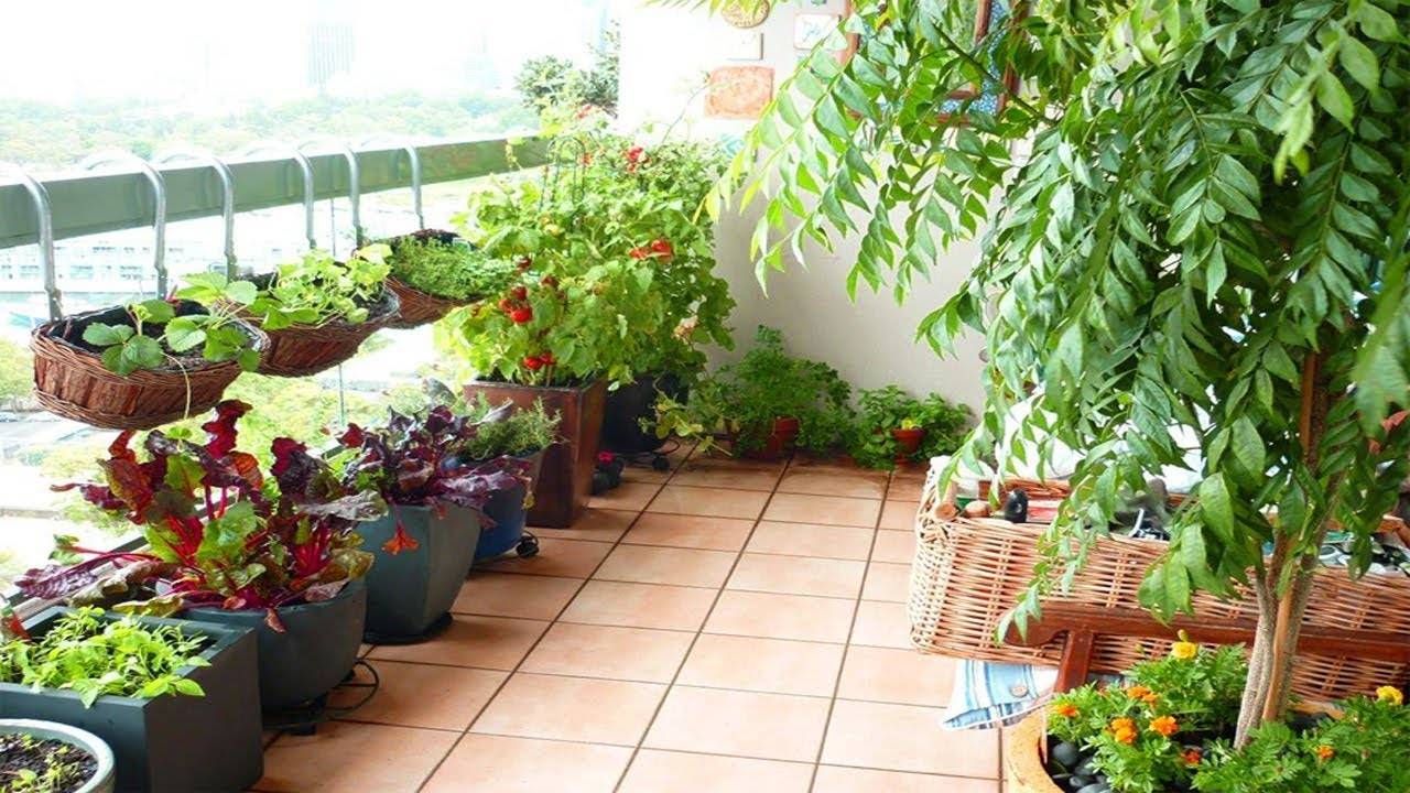 Terrace Inspiration Terrace Garden Ideas