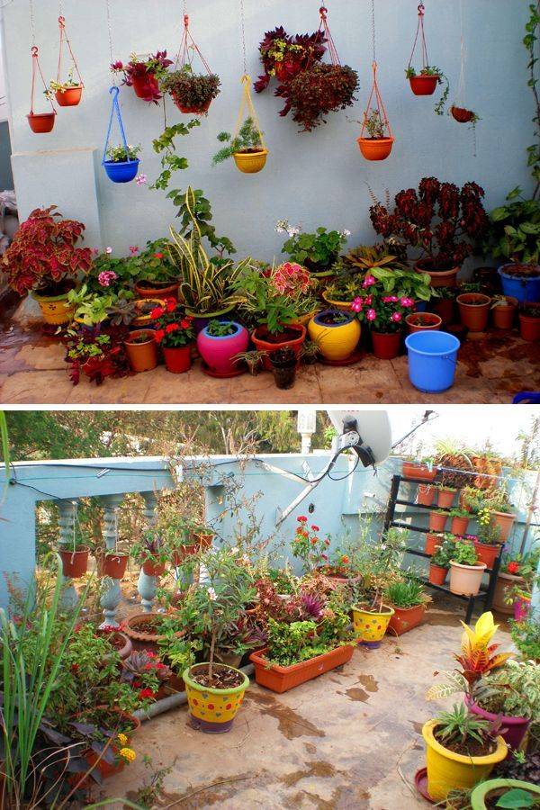 More Picture Terrace Garden Ideas India