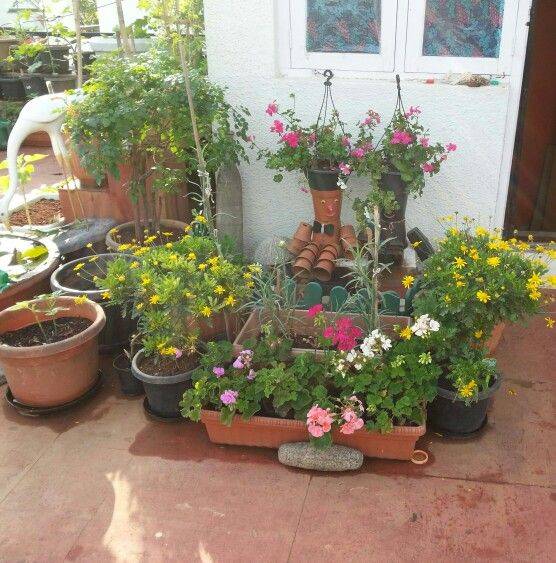 Container Gardening