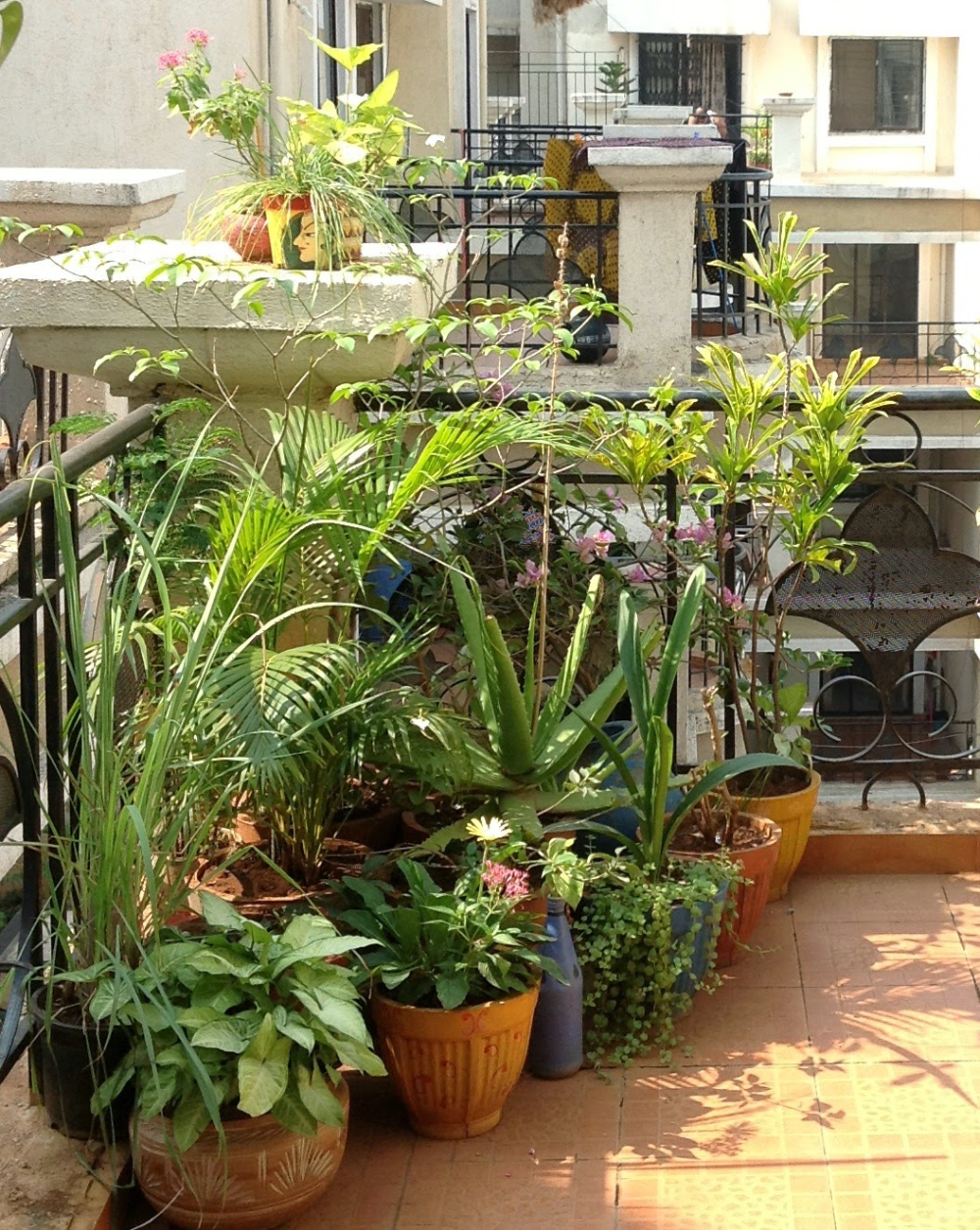 Indian Home Gardening Ideas Images Home Collections