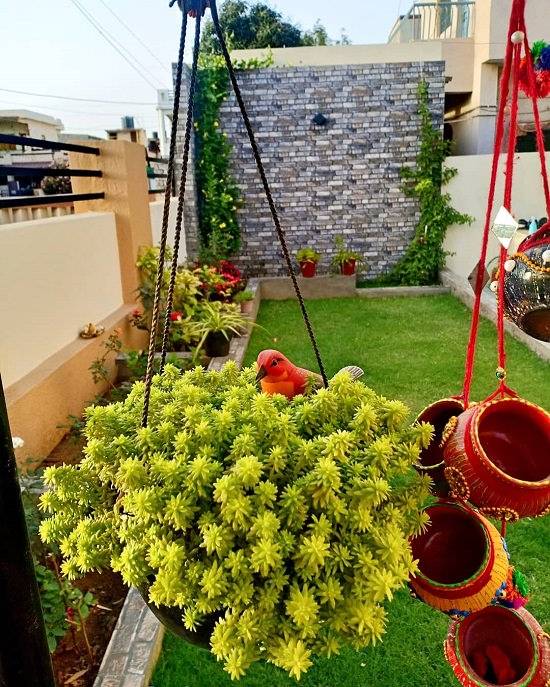 An Indian Garden