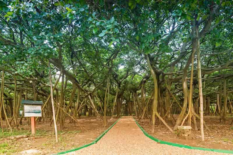 Best Romantic Places