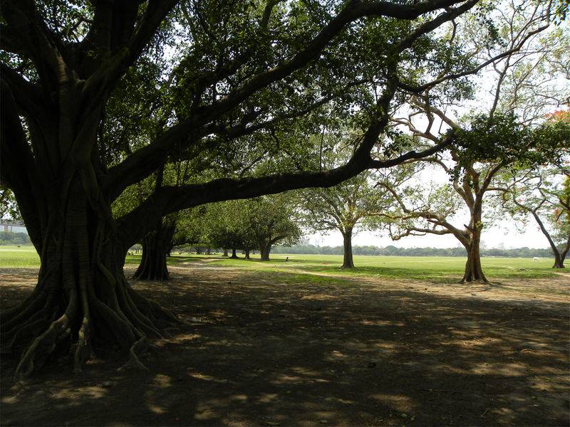 A Stunning Prewedding Photoshoot