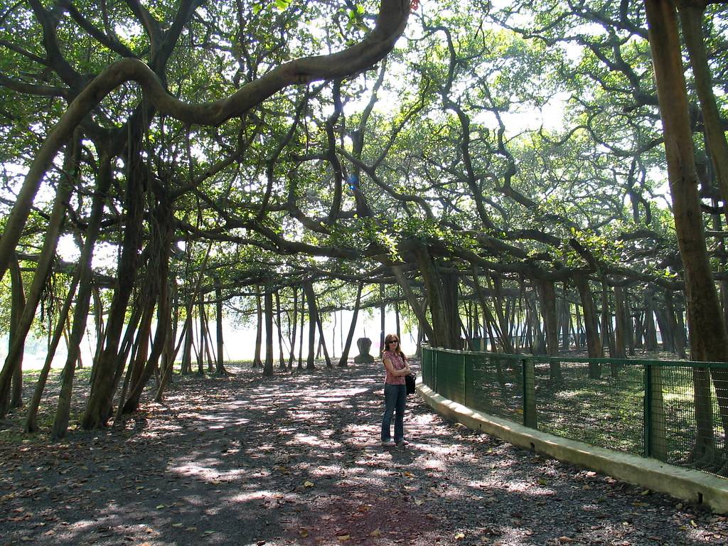 India Botanical Gardens