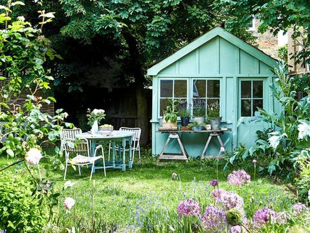 Awesome Shed Garden Plants