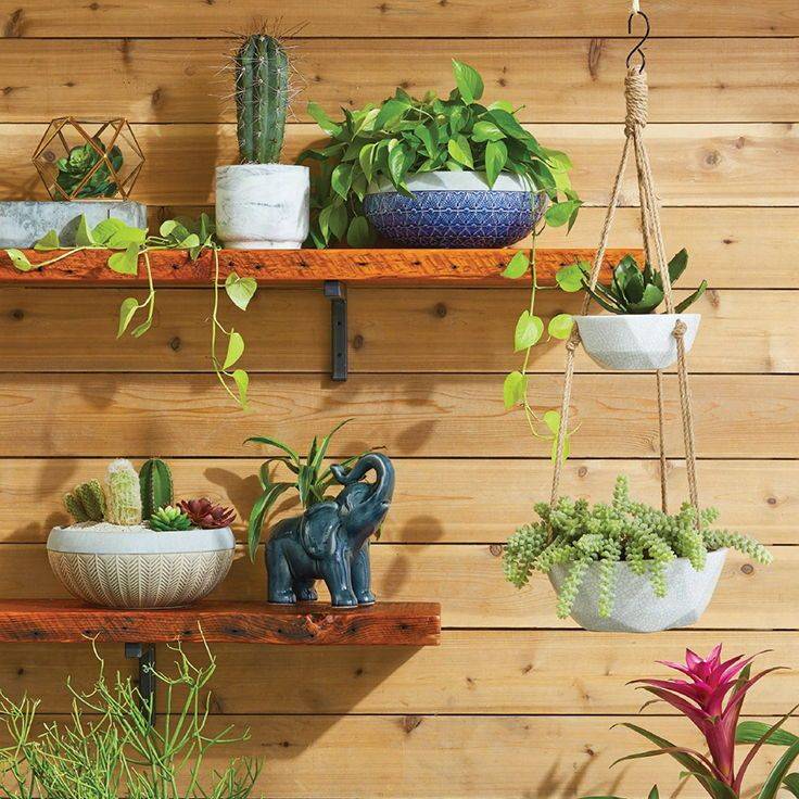 Backyard Ideas
