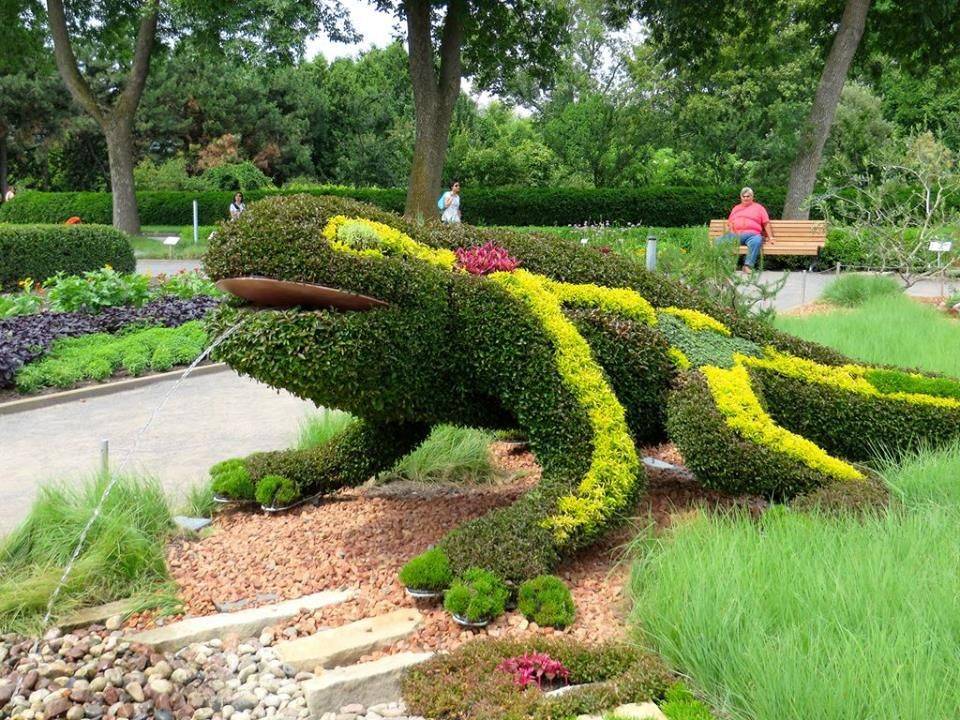 Topiary Garden Ideas