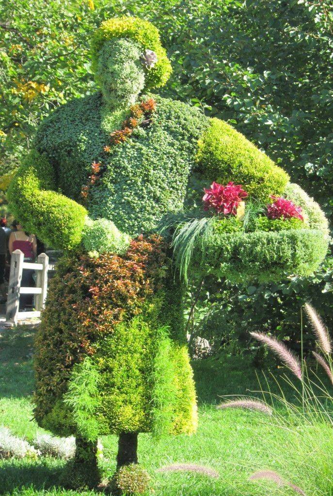 Outdoor Topiary