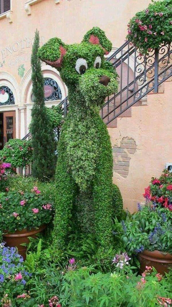 Outdoor Topiary