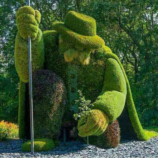 Wow Succulent Chameleon Montreal Botanical Garden Succulents Garden