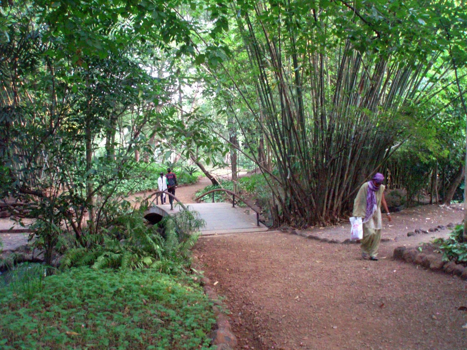 Osho Garden