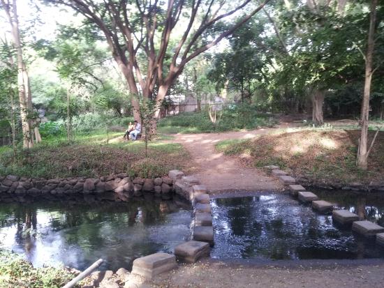 Osho Garden