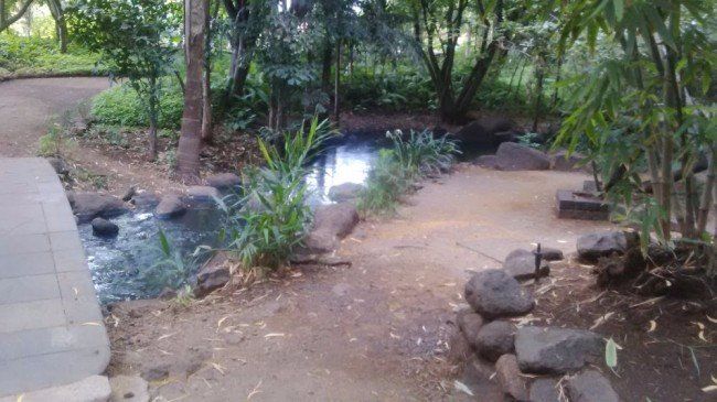 Osho Garden Pune Youtube