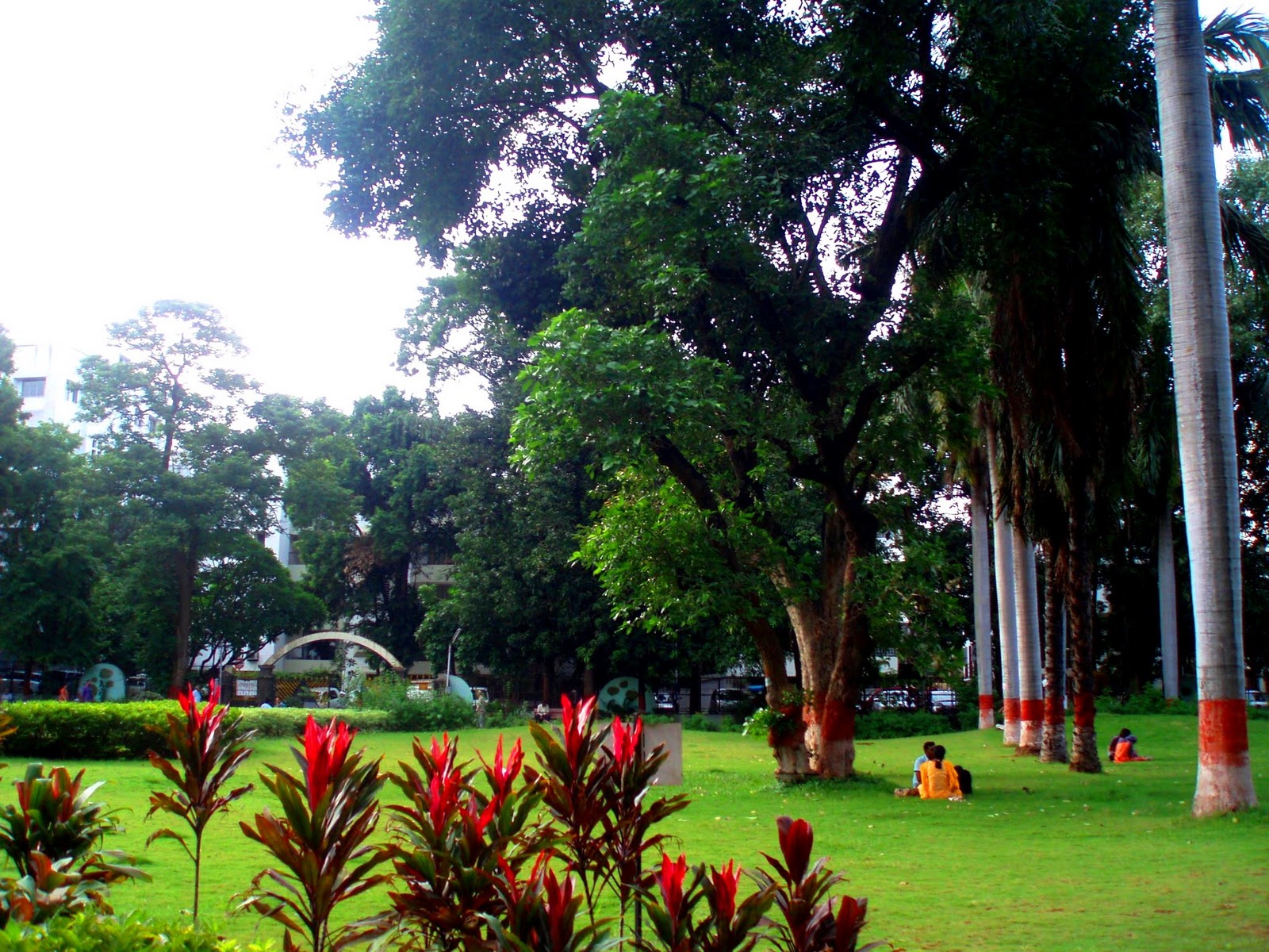 Botanical Gardens Kolkata Posts