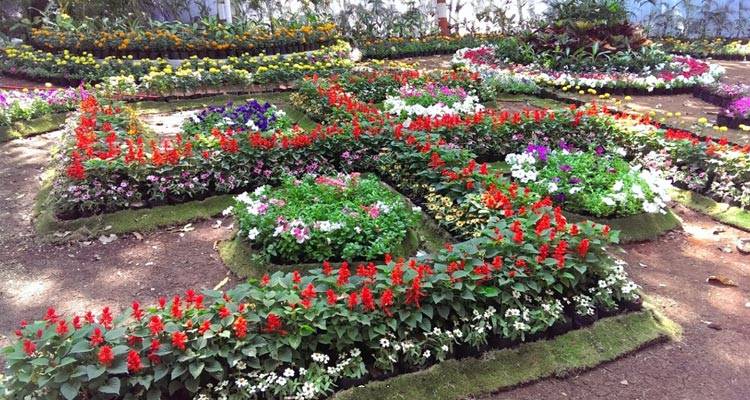 Empress Botanical Garden Pune Timings