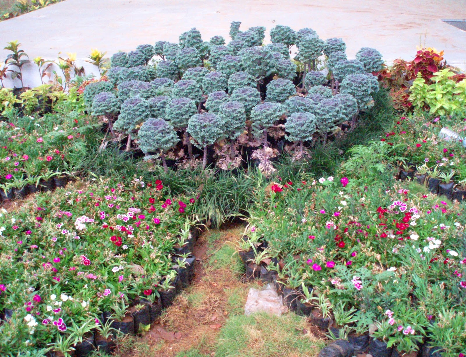 Empress Botanical Garden