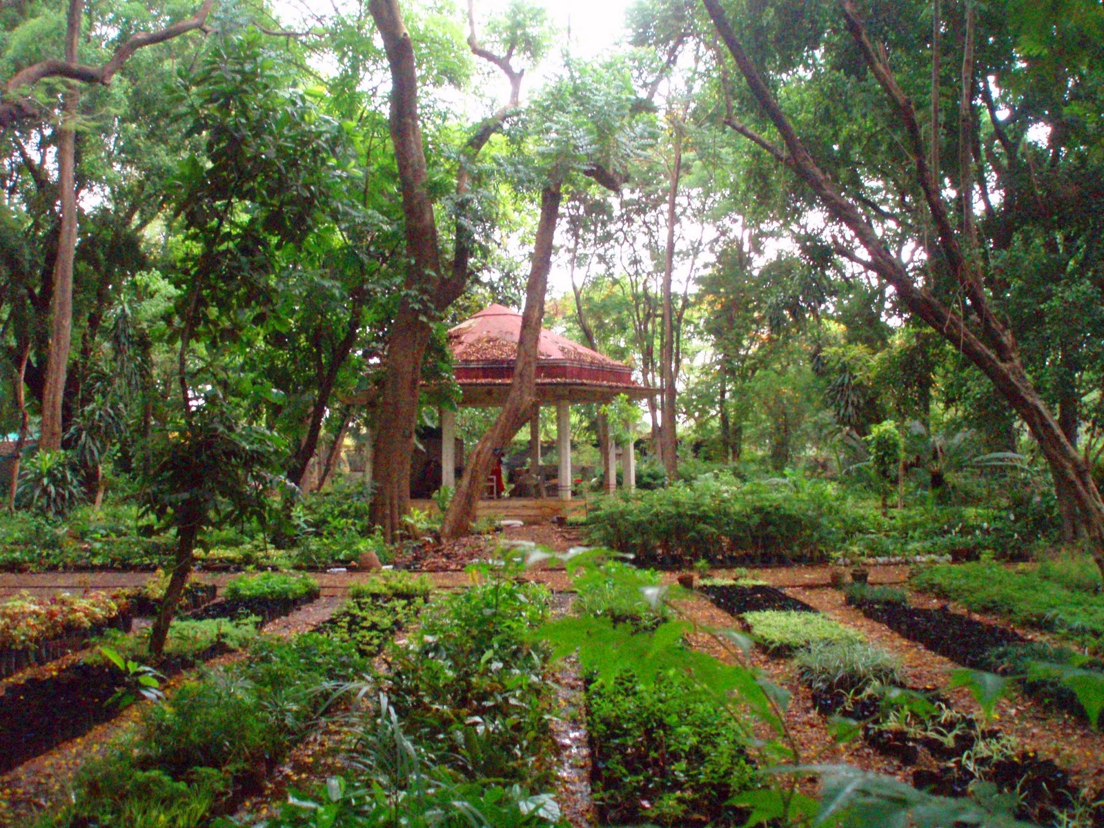 15 Botanical Garden Pune Ideas You Gonna Love SharonSable