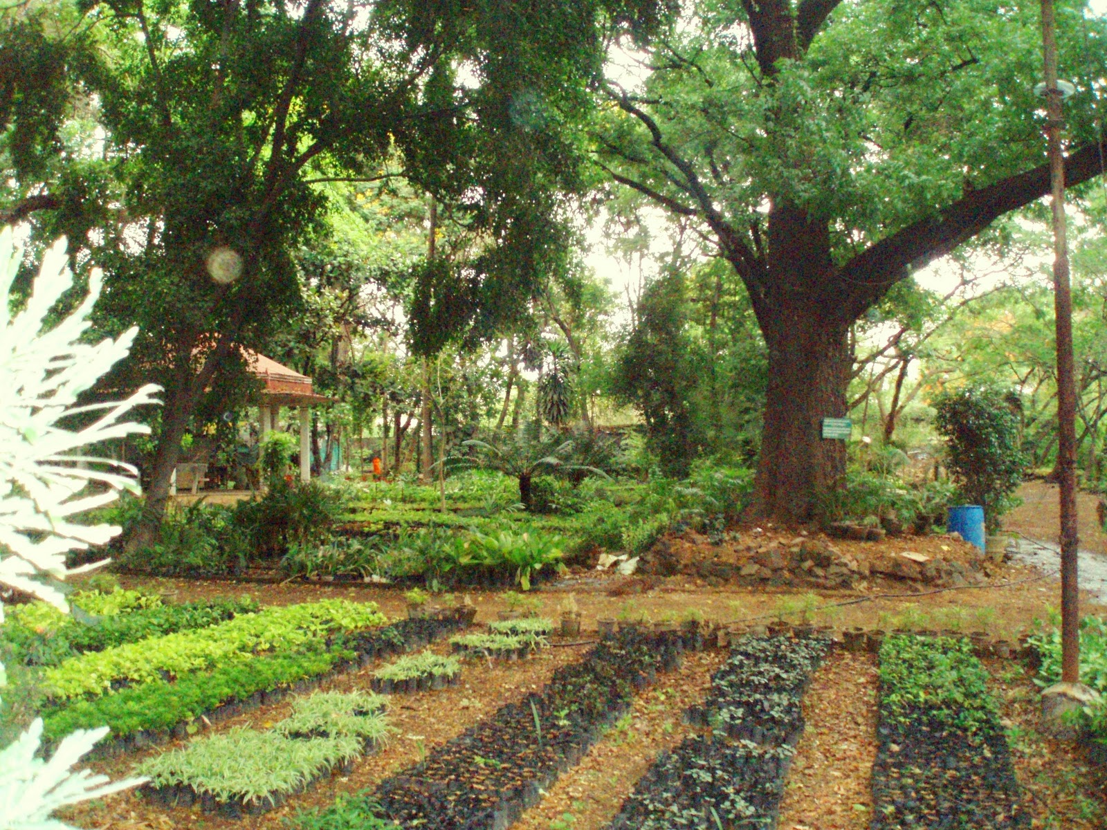 Travelogue Unlimited