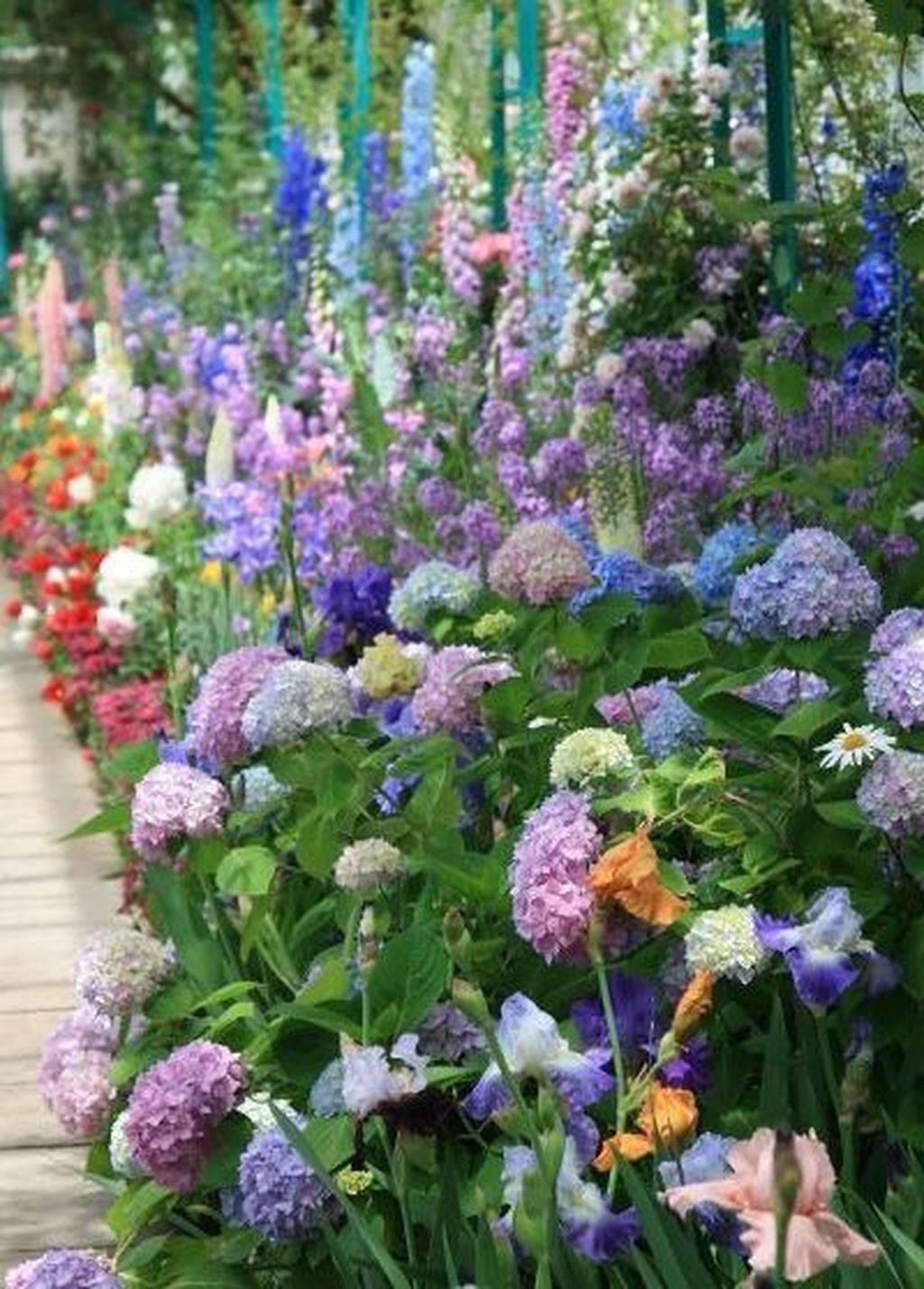 21 Botanic Garden Flowers Ideas To Consider SharonSable