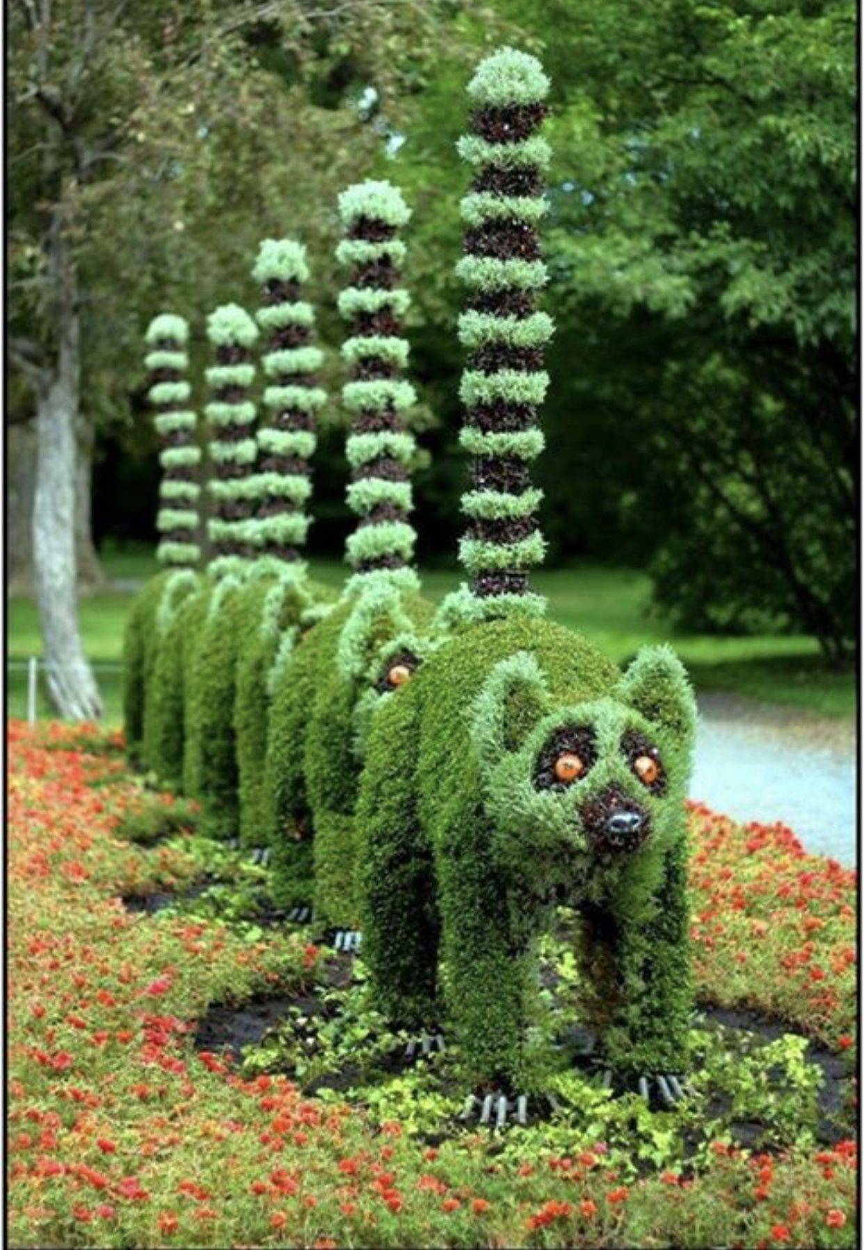 Colorful Knot Garden Google Search Brooklyn Botanical Garden