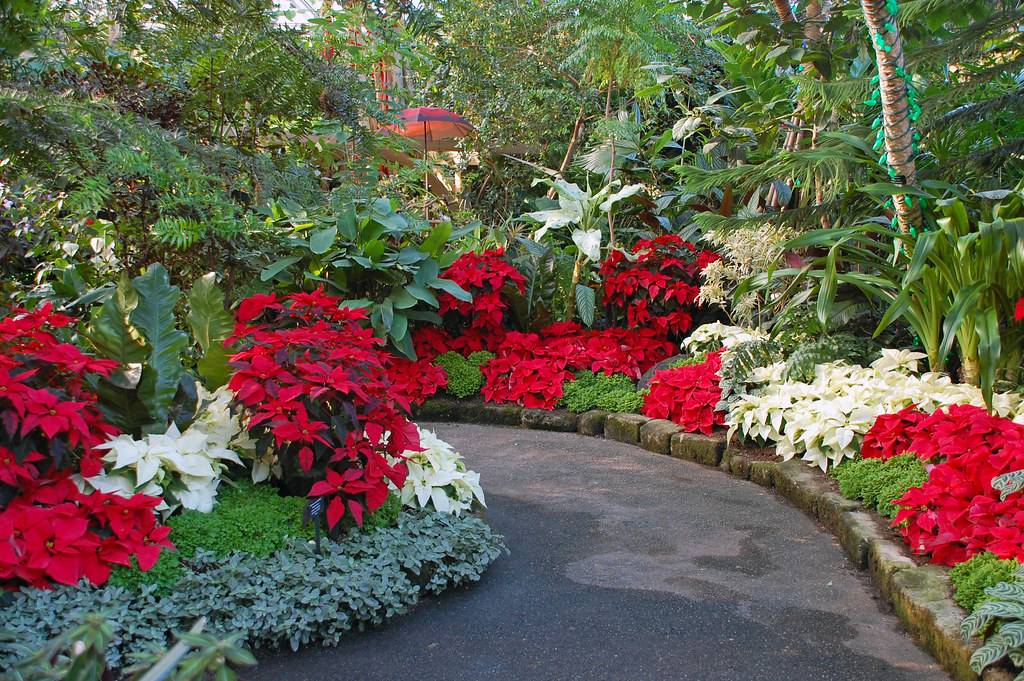 Edinburgh Botanical Gardens Garden
