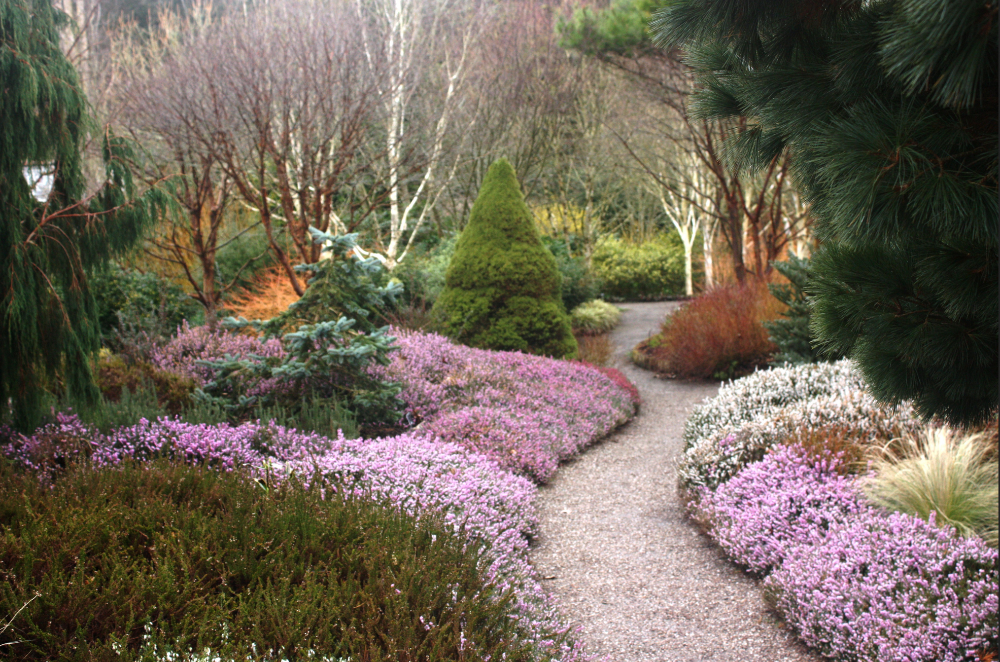 The Royal Botanic Gardens