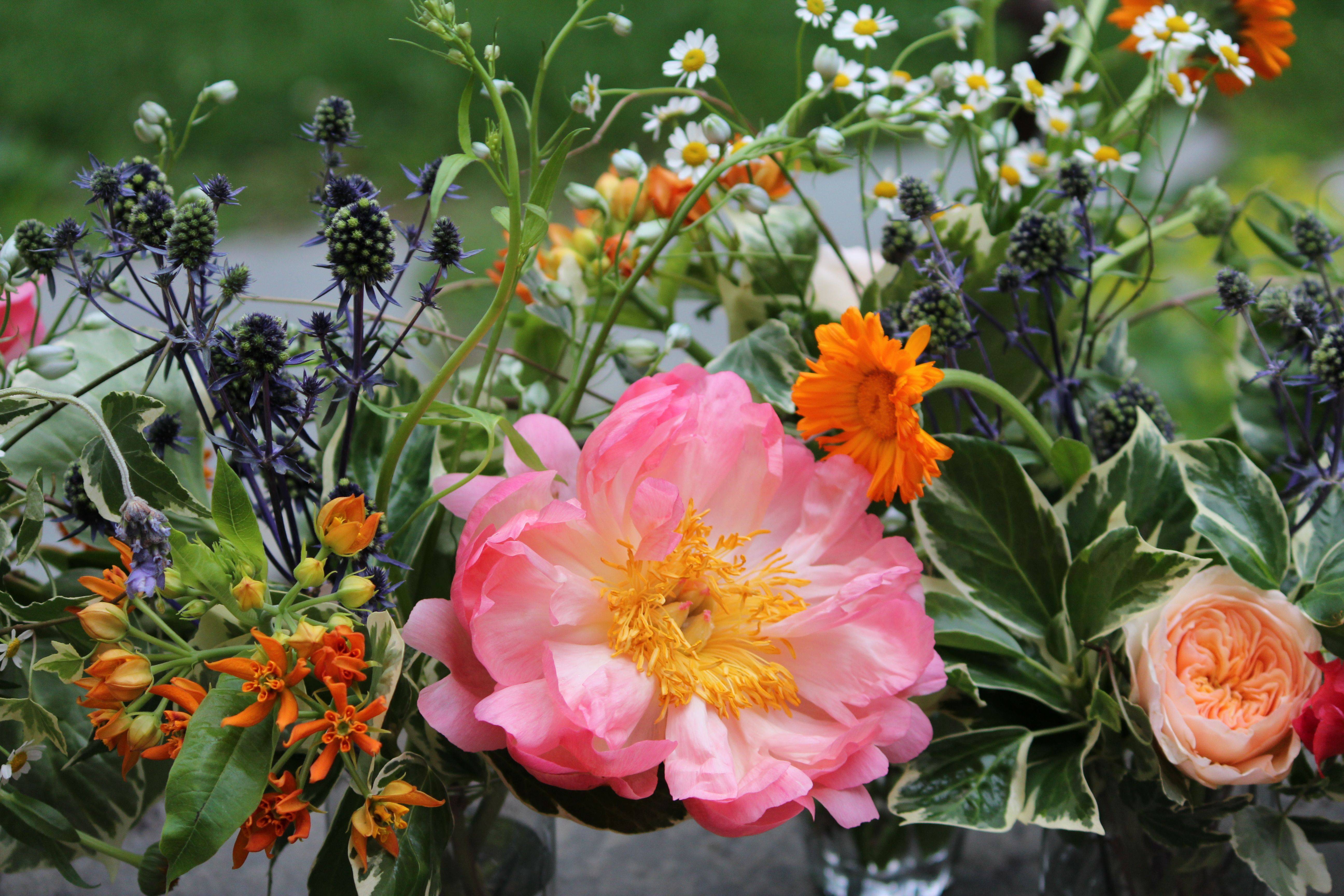 The English Herbaceous Border