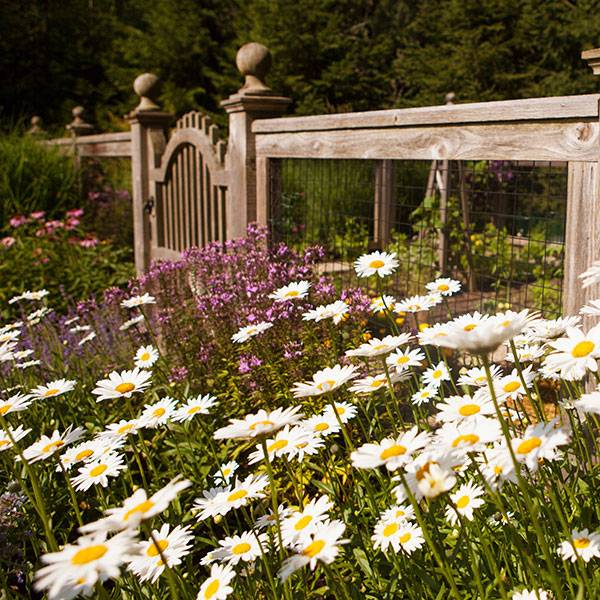 The Chicago Botanic Gardens