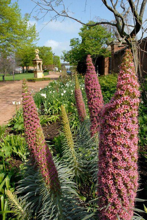 Chicago Botanic Garden Entry Think Global