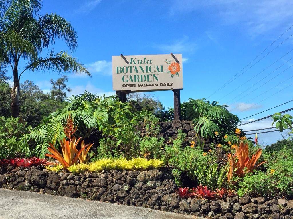 Perfect Tropical Garden Ideas