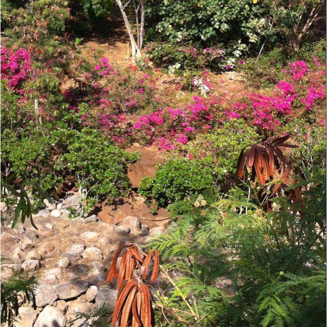 Hawaii Tropical Botanical Garden