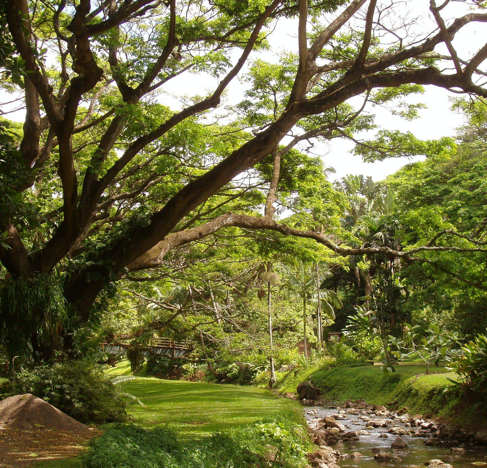 Hawaii Tropical Botanical Garden Hawaii