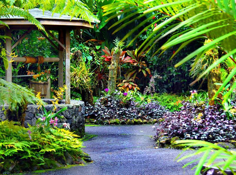 Hawaii Tropical Botanical Garden Hawaii