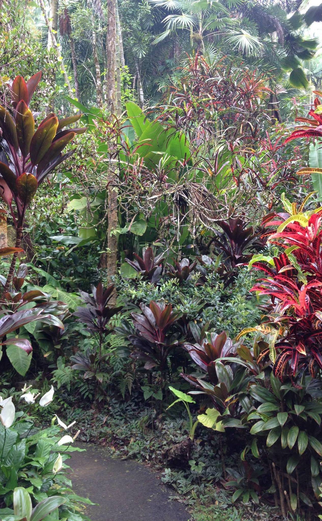 Hawaii Tropical Botanical Garden Papaikou Hi Garden Home Design