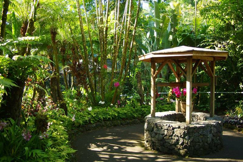 Hoomaluhia Botanical Gardens Kaneohe Oahu