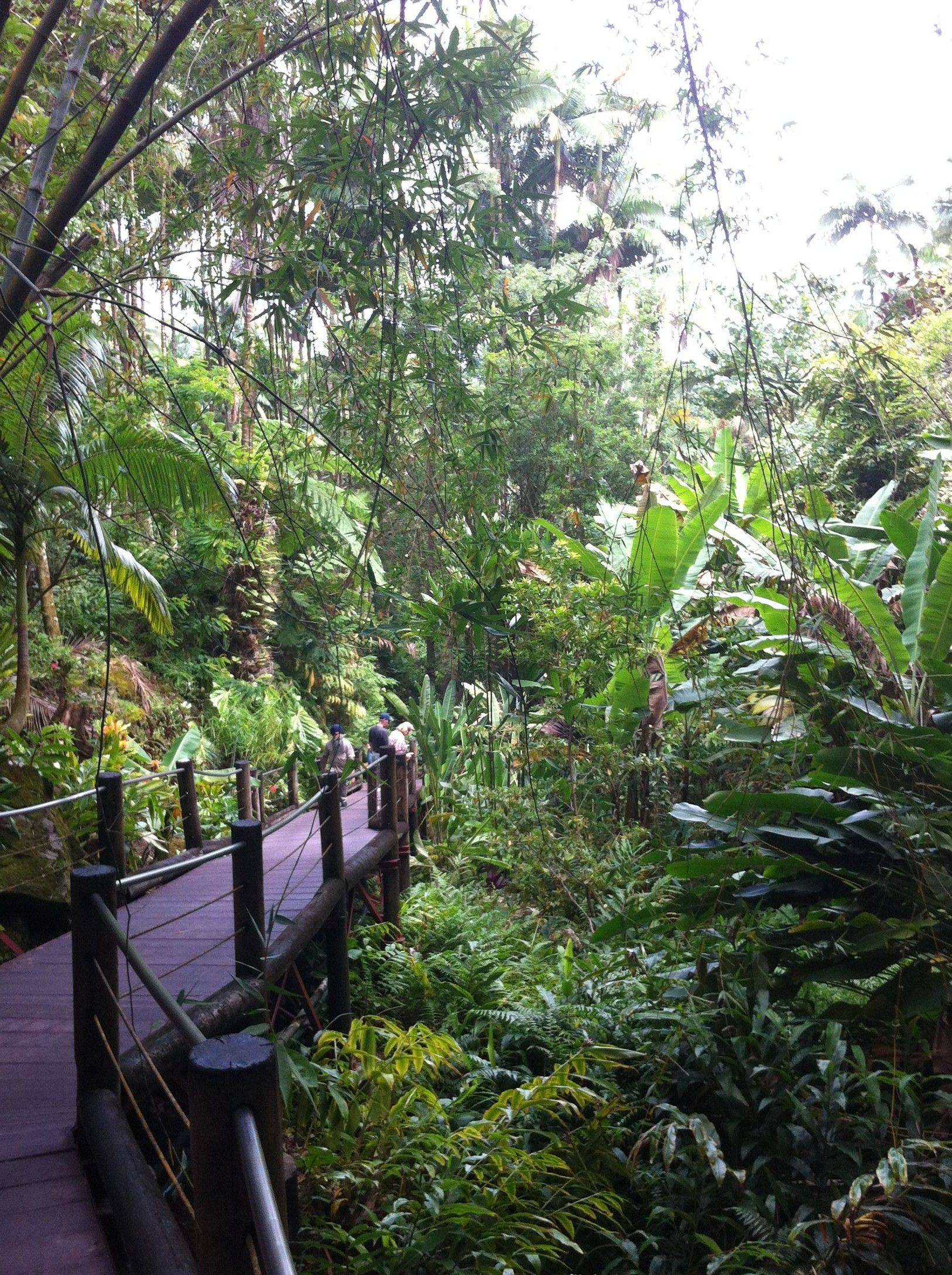 Hawaii Allerton Botanical Gardens