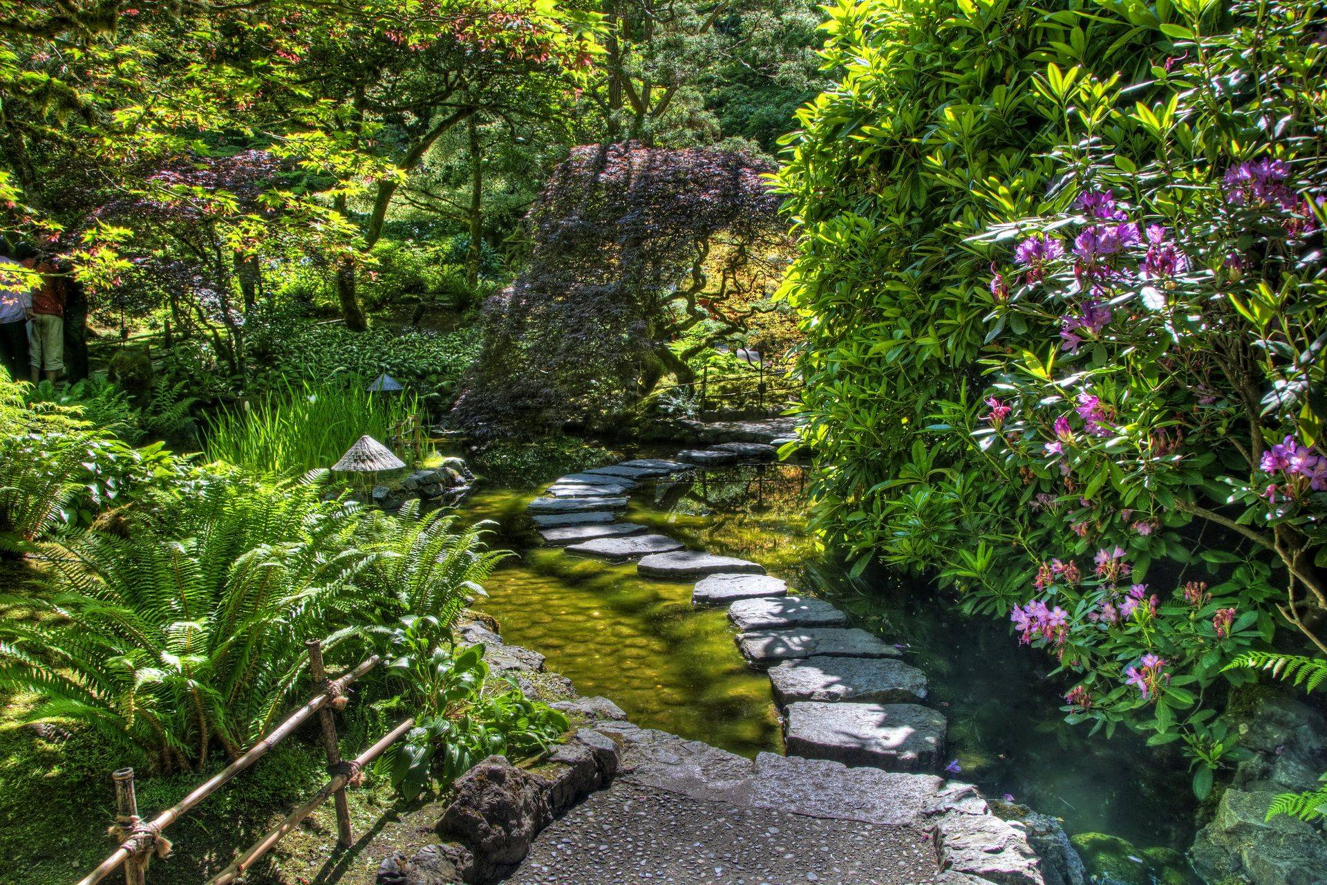 New Snap Shots Oahu Hawaii Botanical Garden Ideas