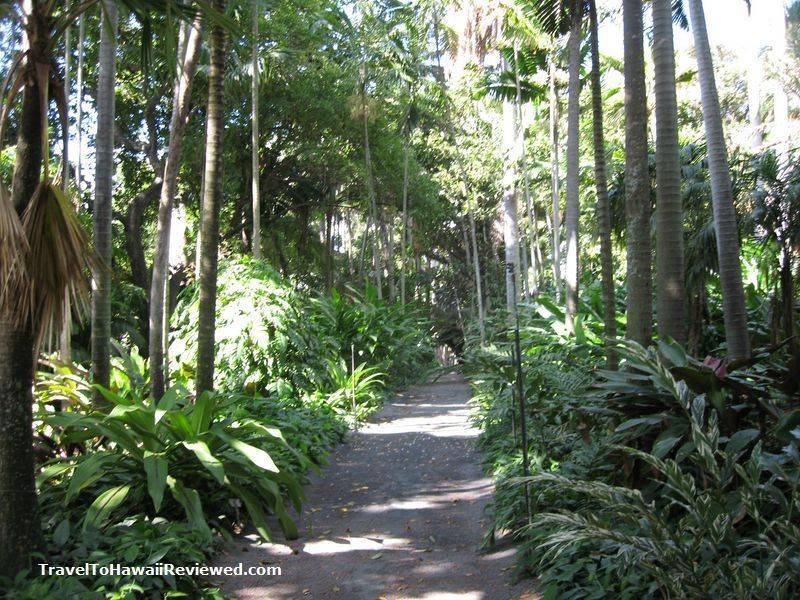 The Best Botanical Gardens