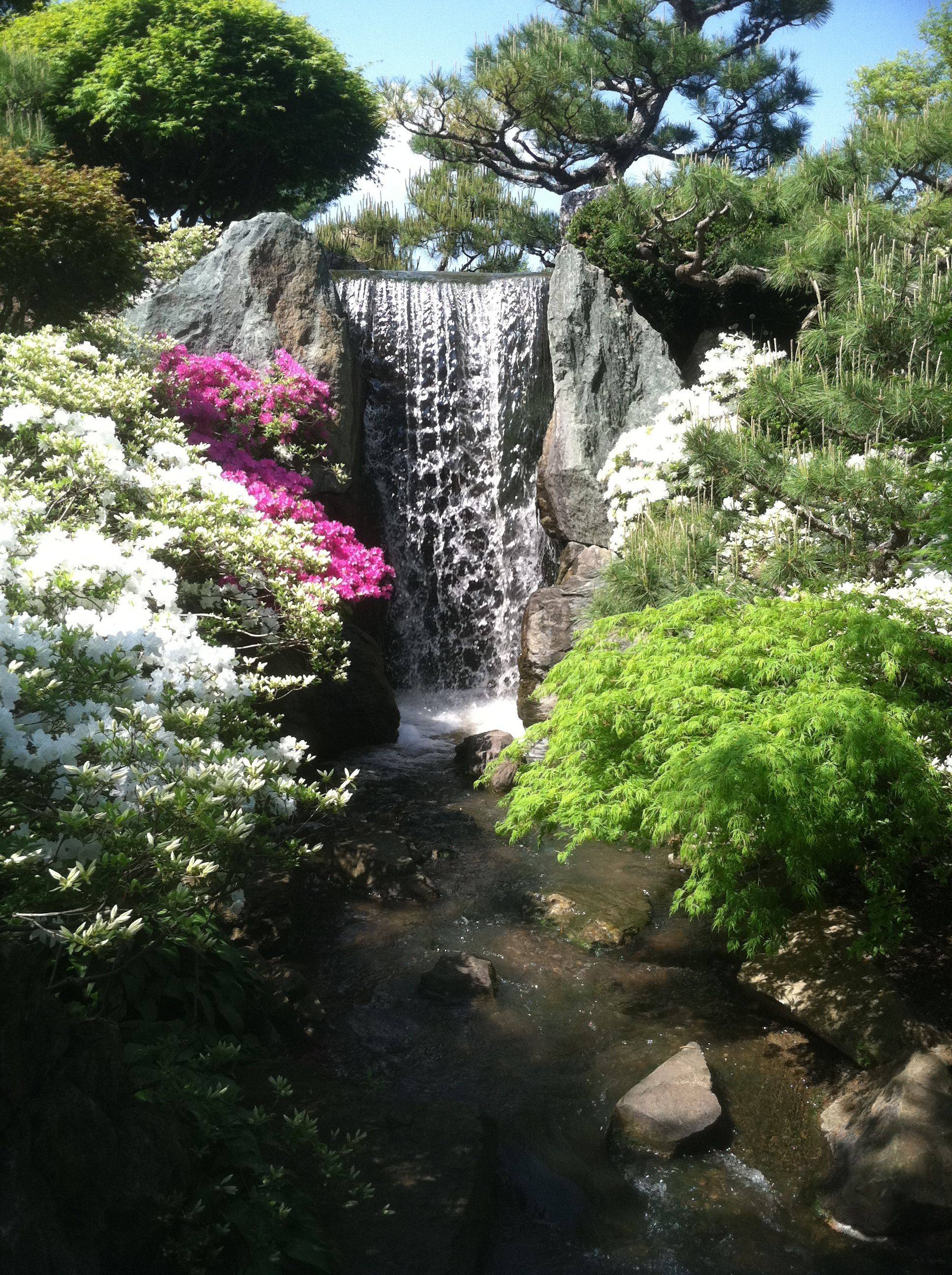 St Louis Botanical Garden Japanese Credesigngroup