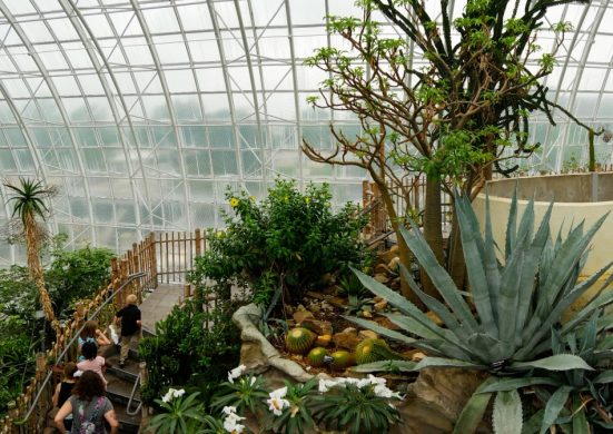 Botanical Gardens