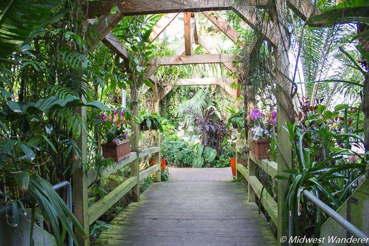 Leicester Botanic Garden
