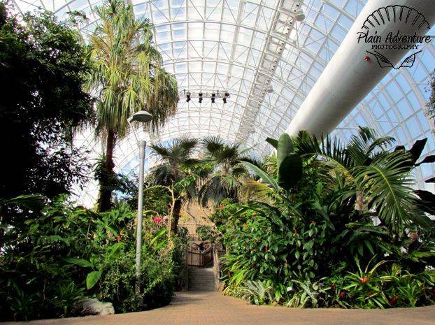 The Myriad Botanical Garden Clumsy Crafter