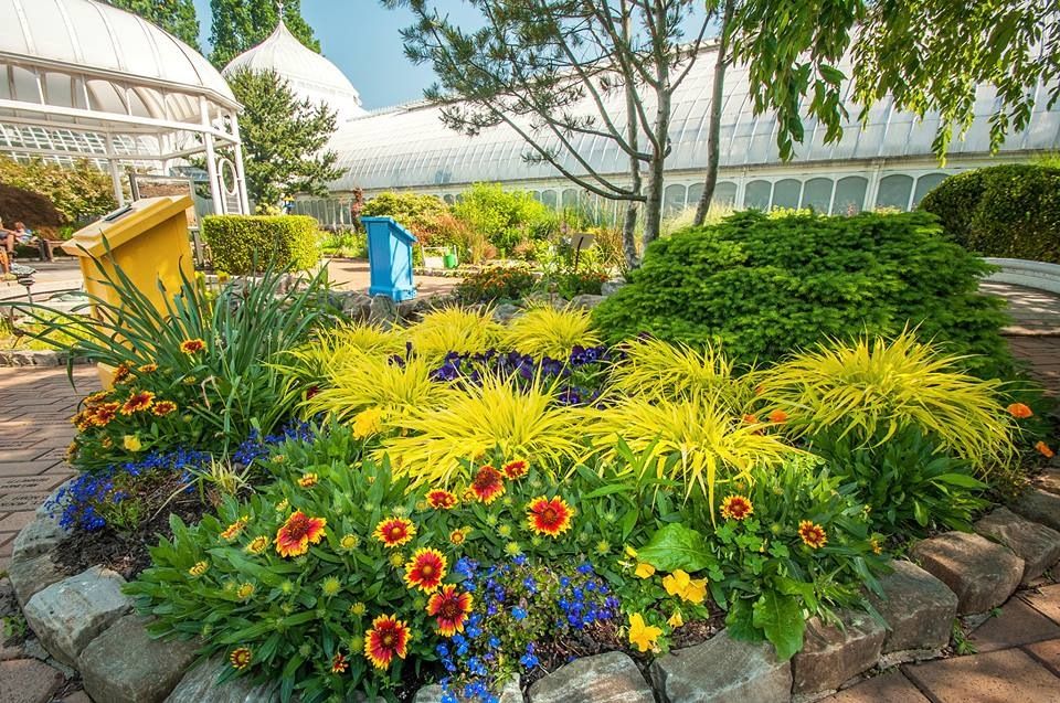 Garden Home Design Ideas