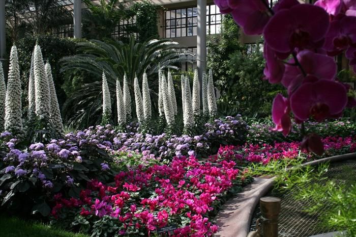 A Pittsburgh Gem Phipps