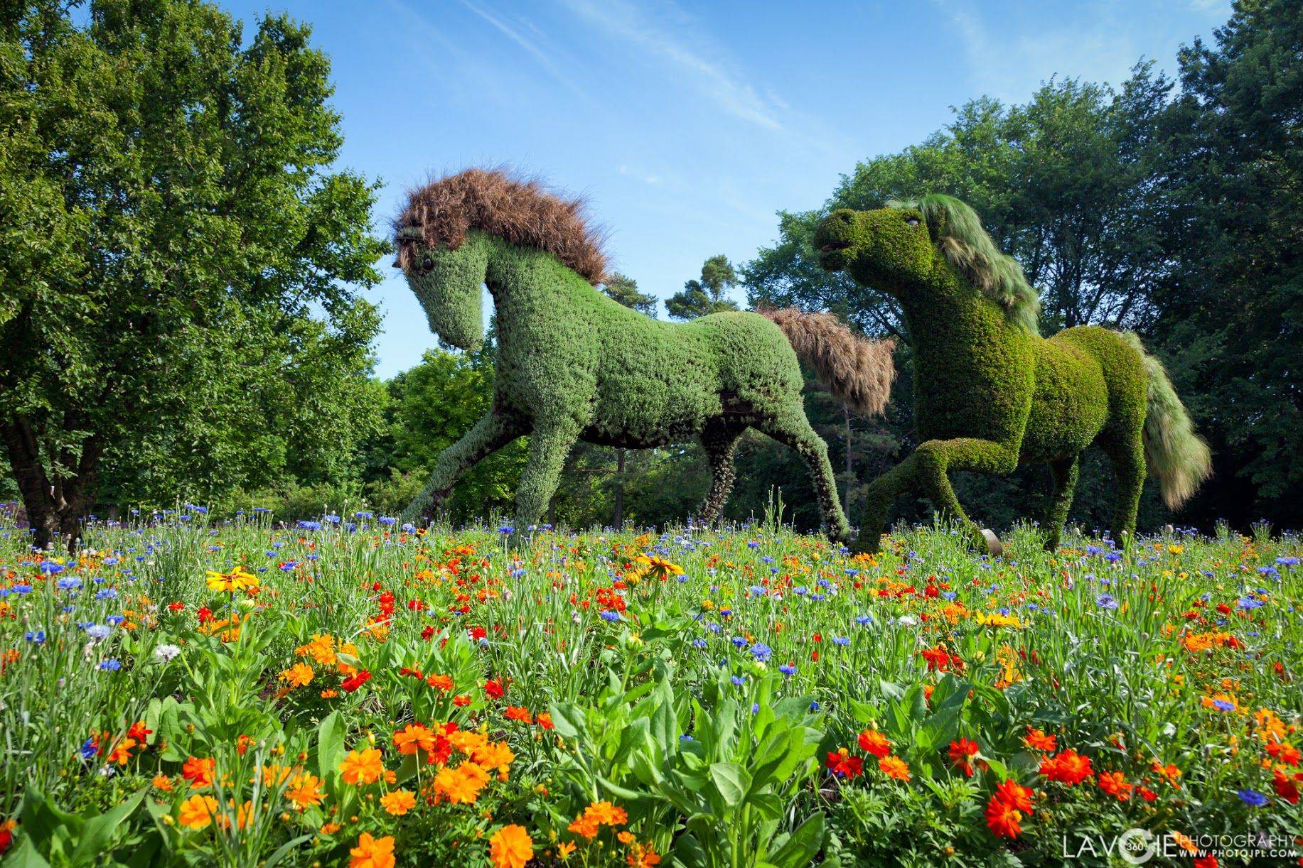 Inspiring Botanical Garden Philadelphia Tips