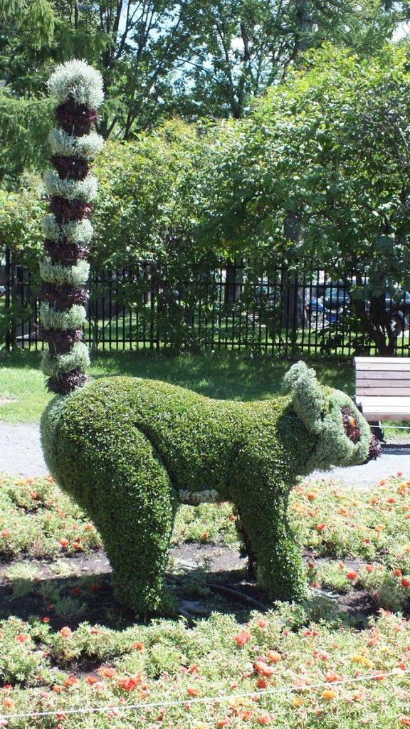 23 Montreal Botanical Garden Ideas You Cannot Miss SharonSable
